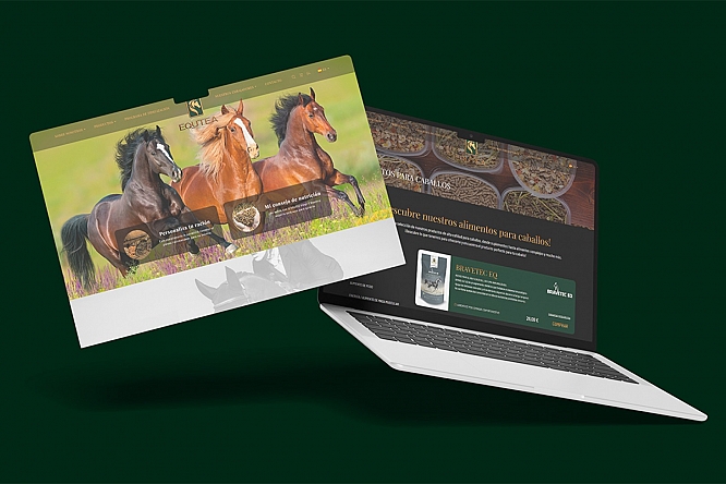 equtea.com