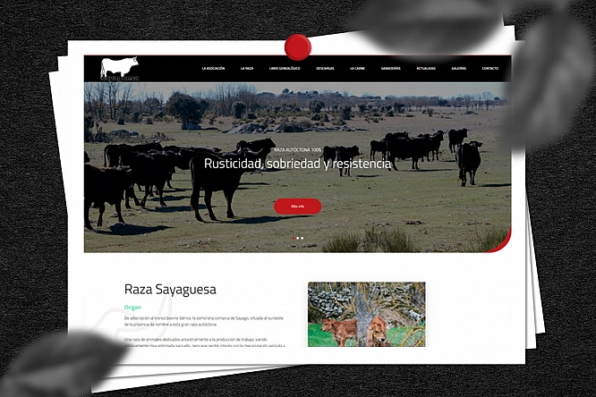 razasayaguesa.org
