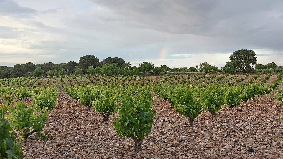 Bodegas Sobreño Bodegas Sobreño