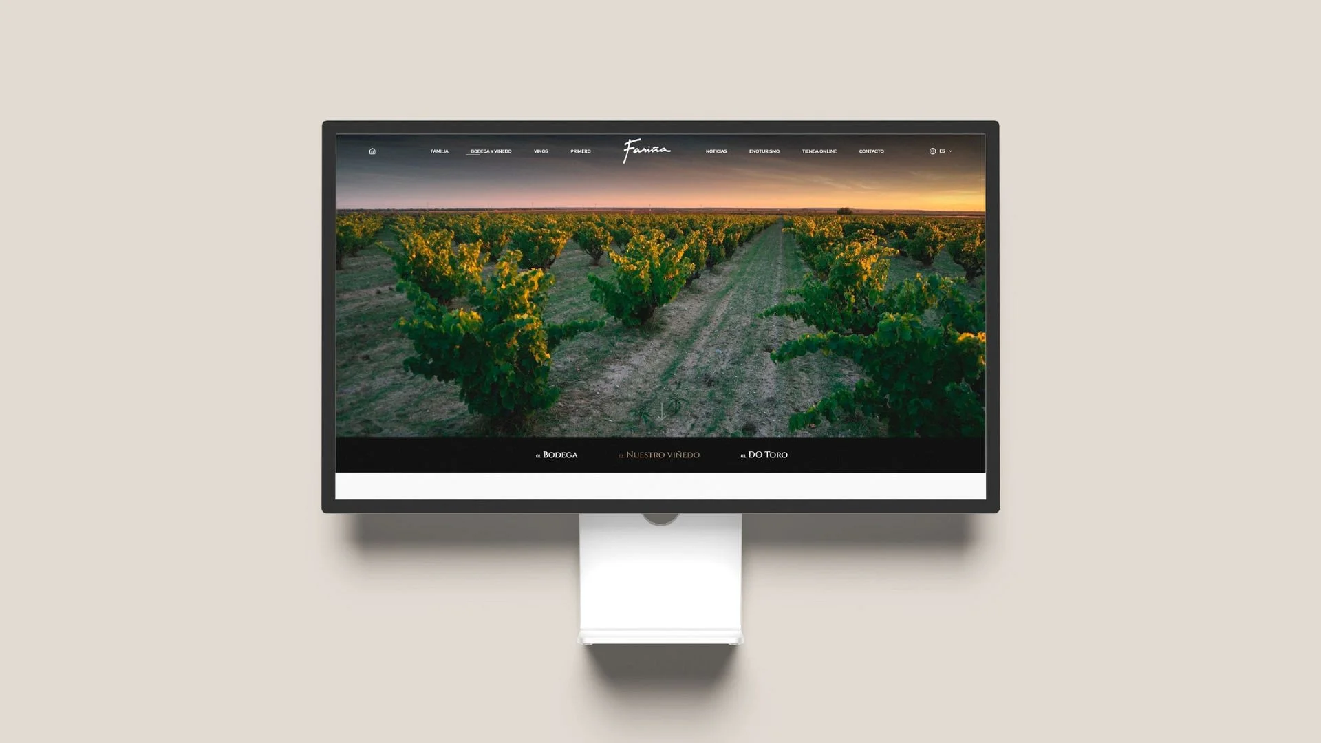 Bodegas Fariña Bodegas Fariña