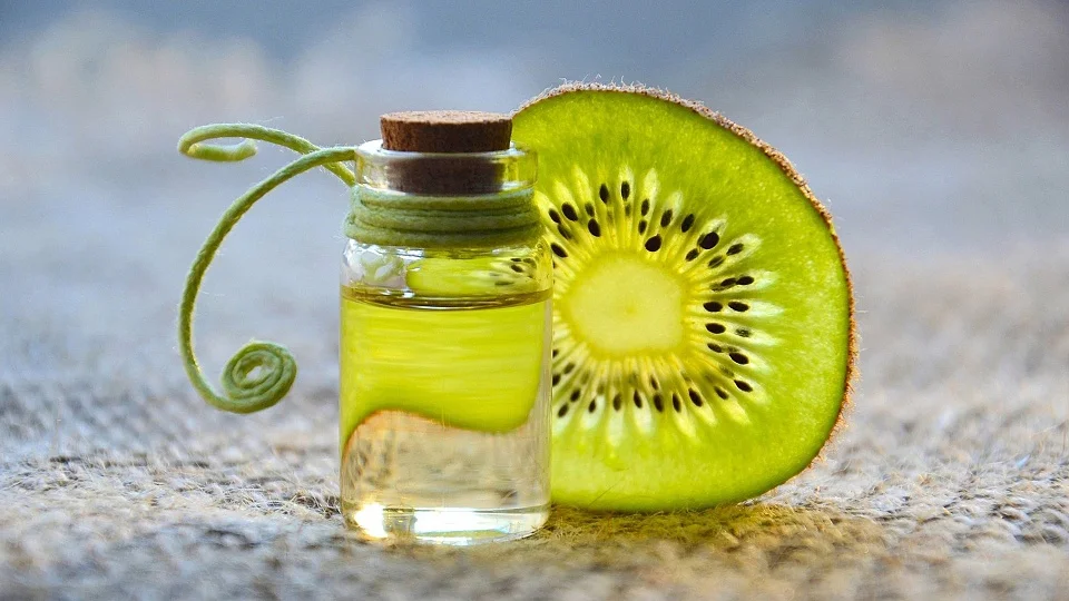 La Tienda de Cosméticos La Tienda de Cosméticos
