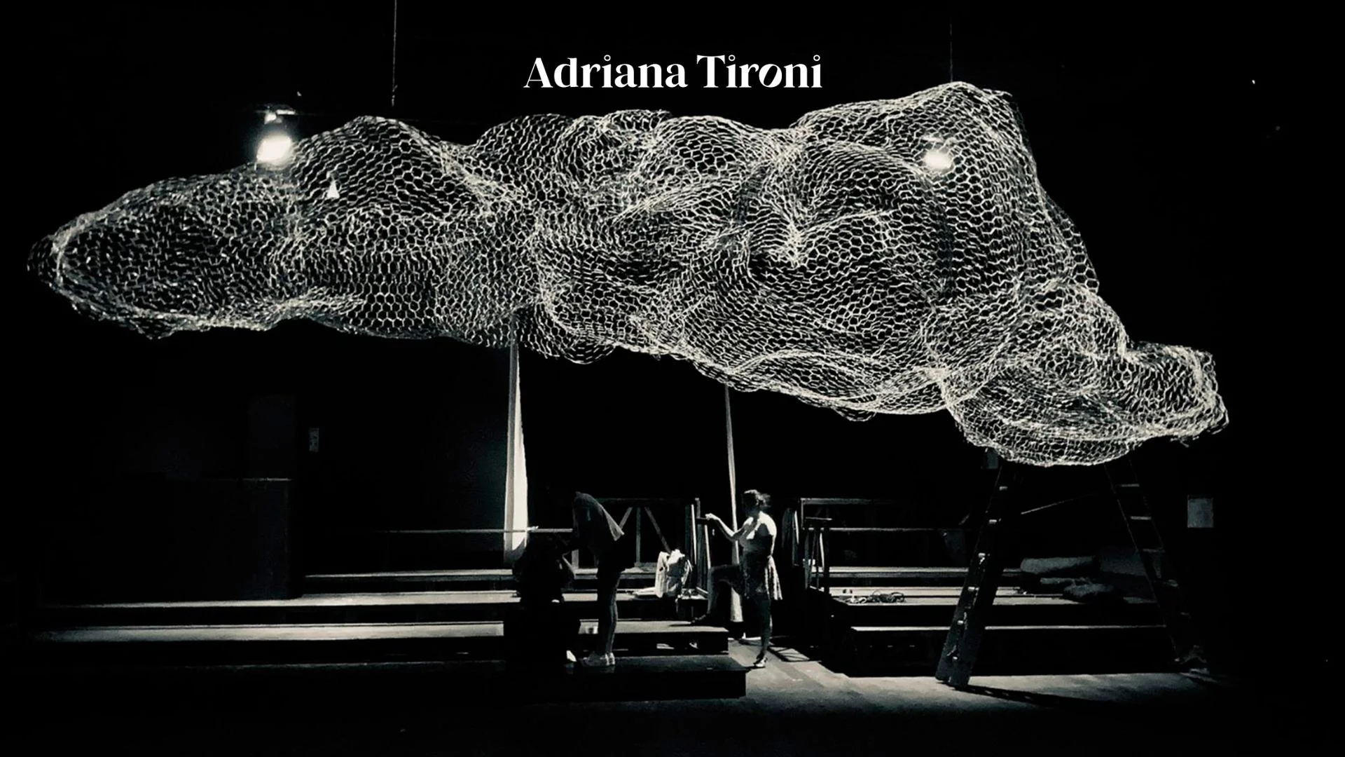 Adriana Tironi Adriana Tironi