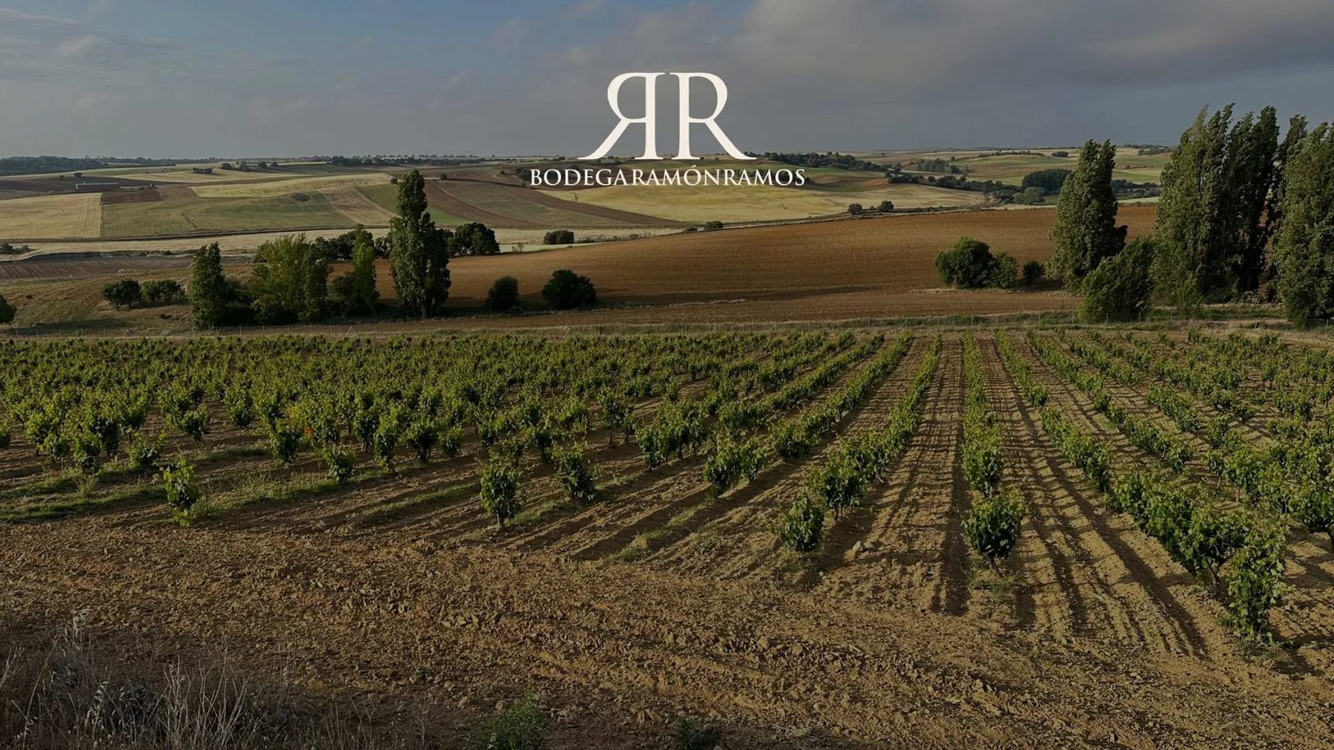 Bodega Ramón Ramos Bodega Ramón Ramos
