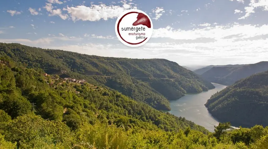 Enoturismo Galicia
