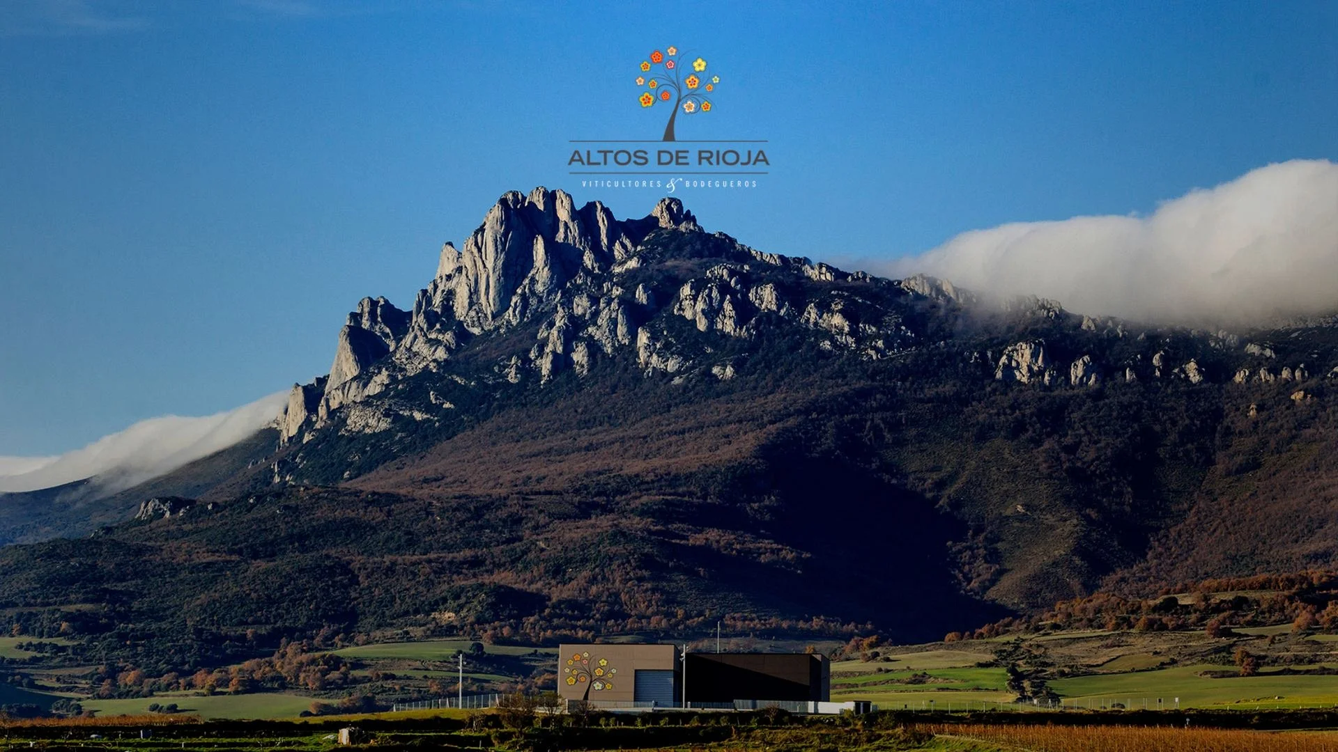 Altos de Rioja Altos de Rioja